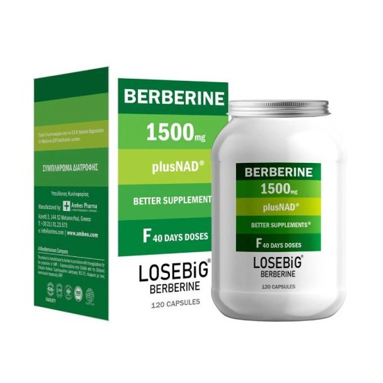 Losebig Berberine 1500mg Plus Nad 120caps - με Βερβερίνη και Ένζυμο NAD